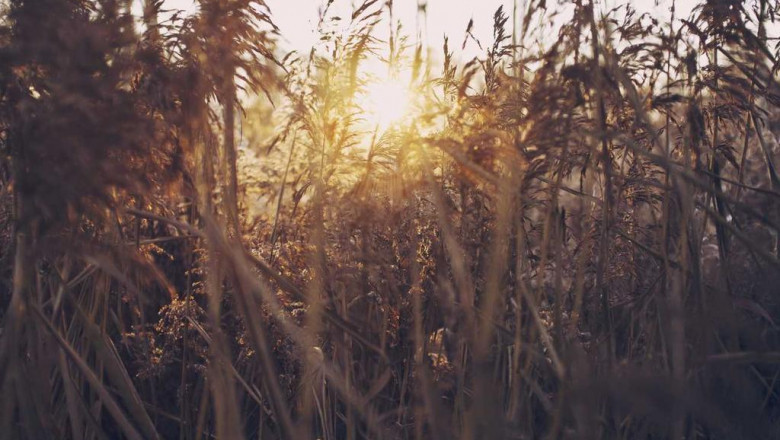 taking a trip abroad suggestions and tricks