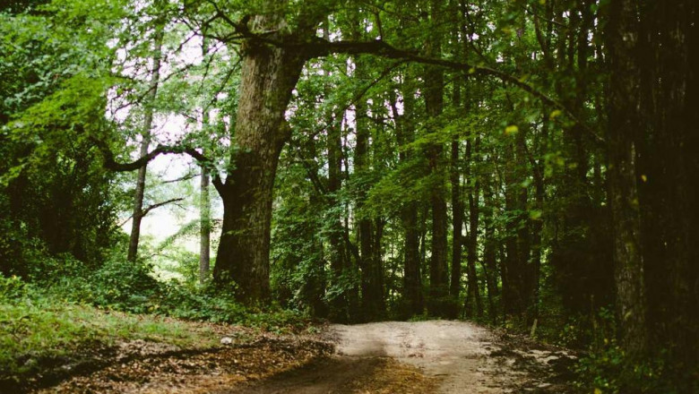 the best kept secrets about gold coast air conditioning experts