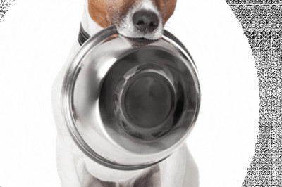 What makes MOBone different from others?