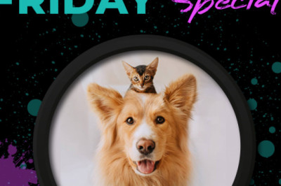 Why Wait Until Black Friday? Access Sale Early!- PetLoversAU
