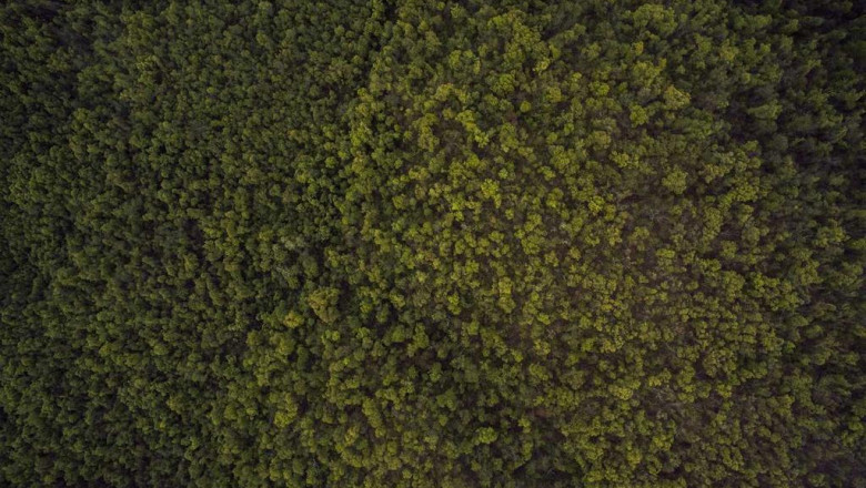 why you should spend more time thinking about seoruan jian