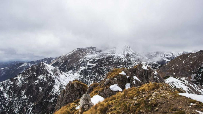 10 startups thatll change the best wedding cars northampton industry for the better