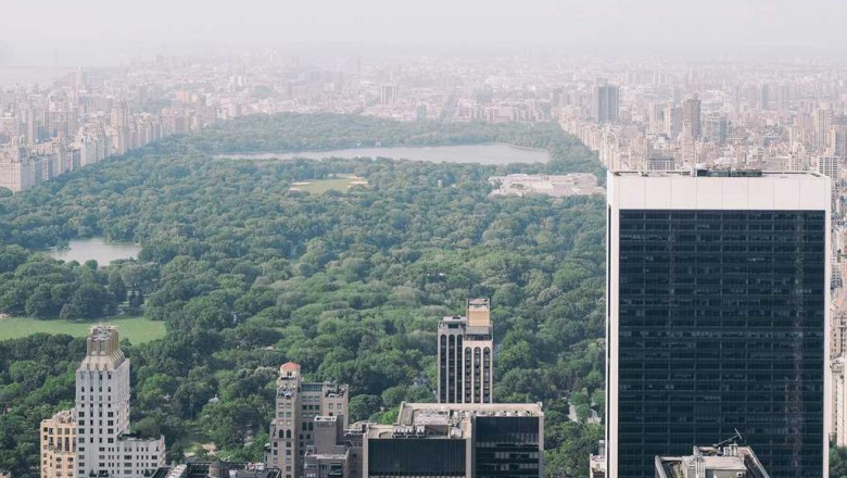 10 things you learned in kindergarden thatll help you with best cbd topical for pain