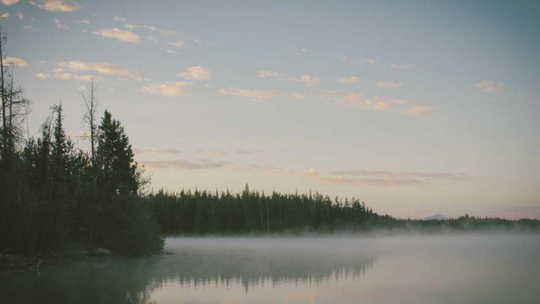 20 things you should know about yin dao yan jian cha