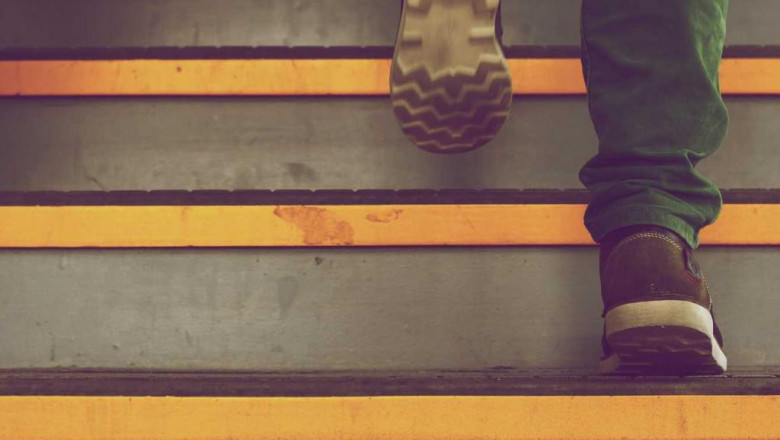 a beginners guide to forbidden gusher strain