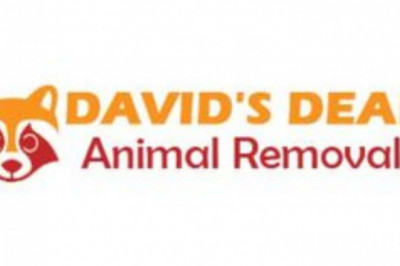 David's Dead Animal Removal