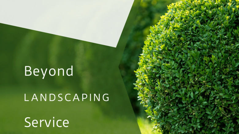 landscaping services in hyderabad