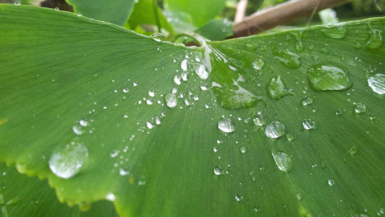 present concepts for people made easy