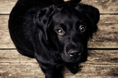 the most common search engine optimization debate isnt as black and white as you might think