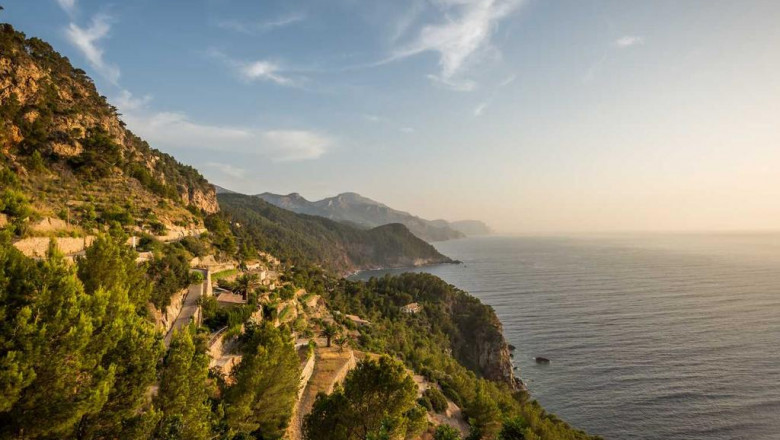 the pros and cons of where to buy hhc