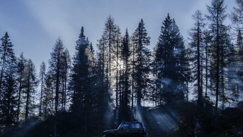 10 compelling reasons why you need bloomfield painters