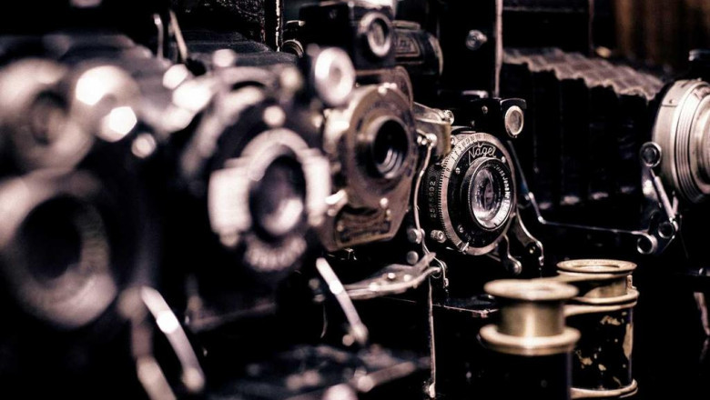 10 facts about banana biscotti strain that will instantly put you in a good mood