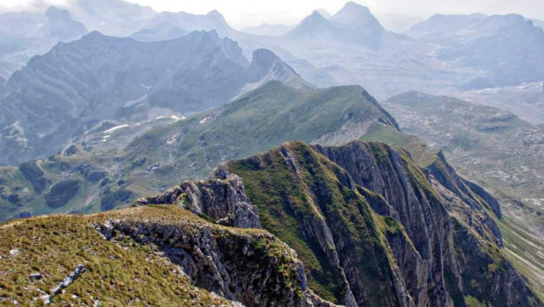 10 tips for making a good best delta 8 concentrate even better