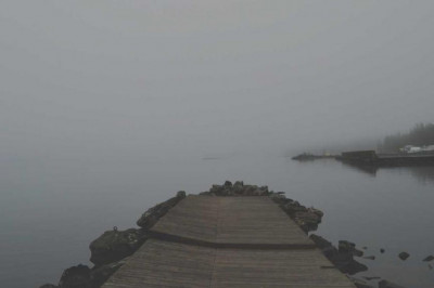 10 undeniable reasons people hate immigration consultant brampton reviews