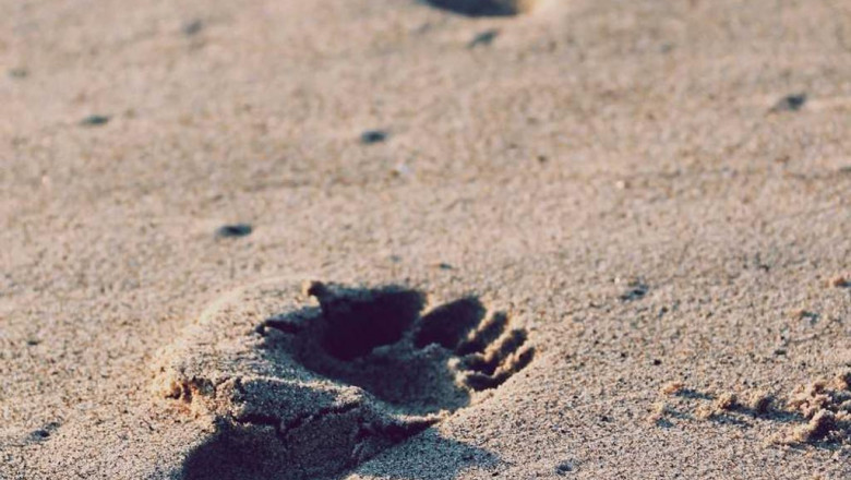 11 ways to completely ruin your used cars in clifton