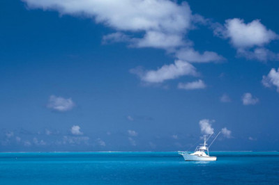 14 common misconceptions about brampton best immigration lawyer