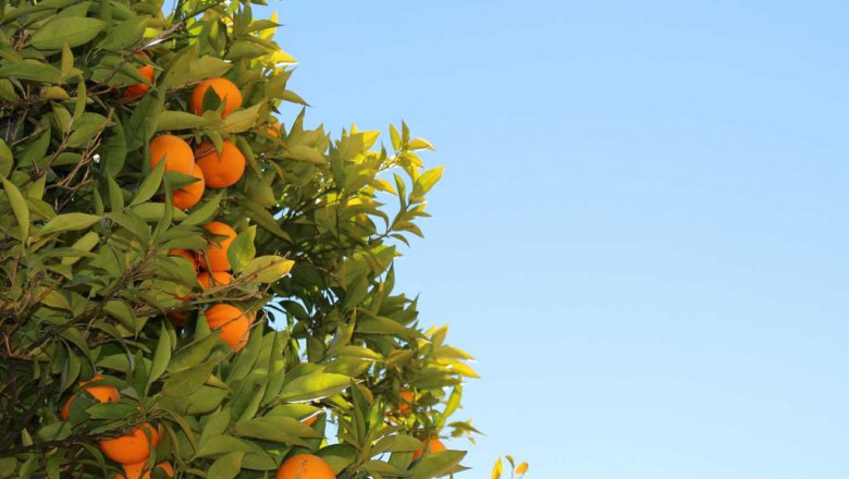 17 reasons why you should ignore anjeonnoliteo