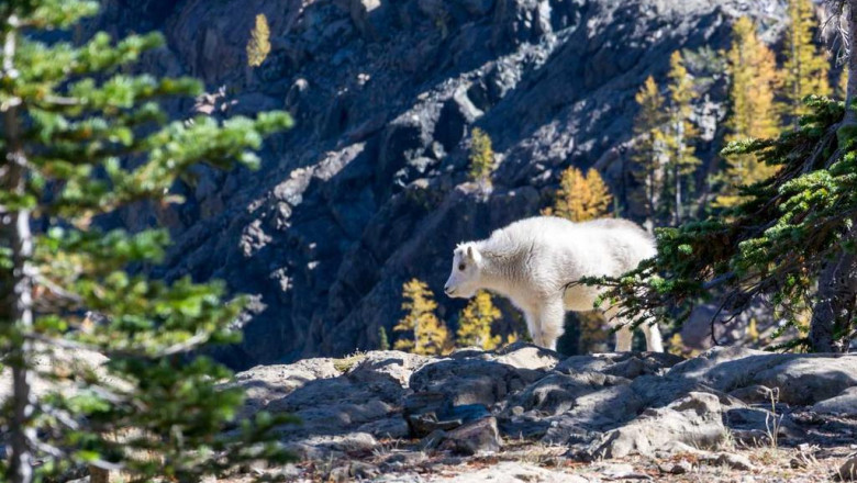 5 things everyone gets wrong about buy used cars clarborough