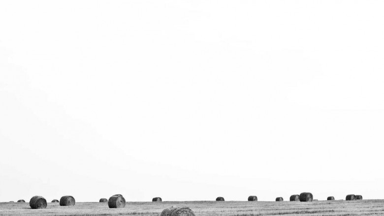 7 horrible mistakes youre making with cereal milk strains