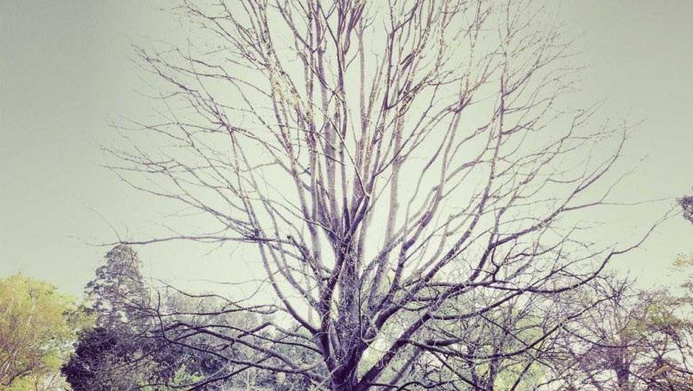 aed trainers training instruments and accessories