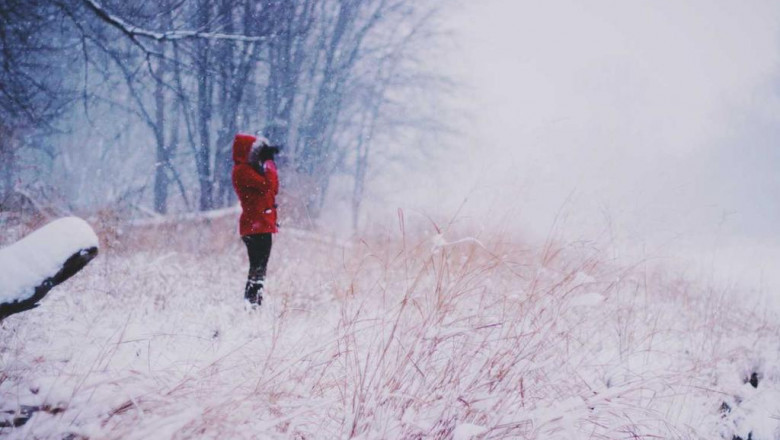 have some great simple methods to make someones birthday exceptional with flowers