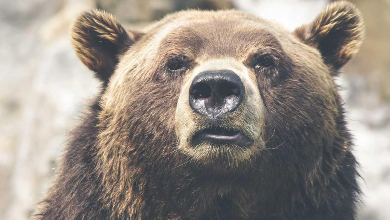 ile trzeba miec lat na 125