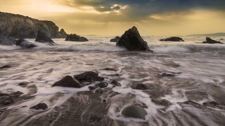 runtz sativa expectations vs reality