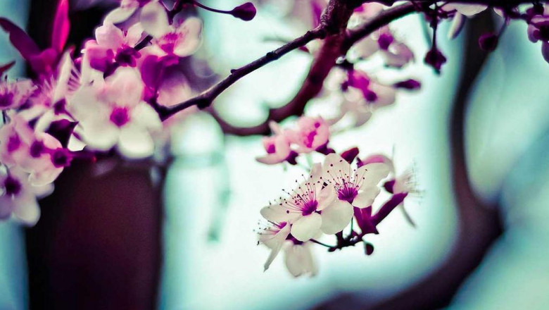 the most influential people in the used cars in eastwood industry and their celebrity dopplegangers