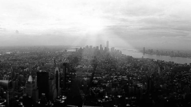 this is your brain on thc syrup dispensary