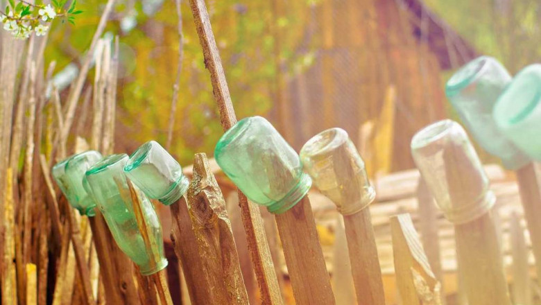 10 misconceptions your boss has about platinum gelato strain info