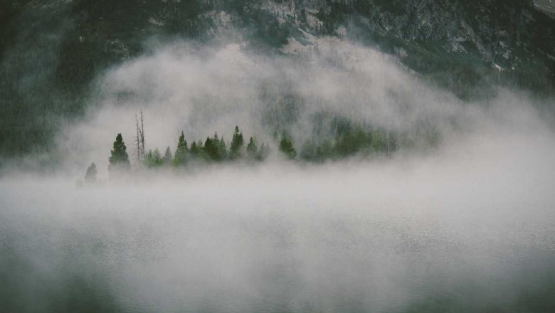 12 steps to finding the perfect terpene effect chart