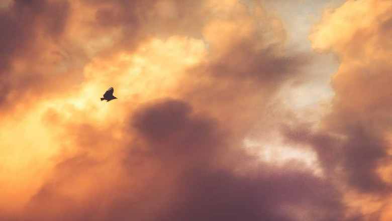 14 questions you might be afraid to ask about nike throwback baseball pants jerseys cheap