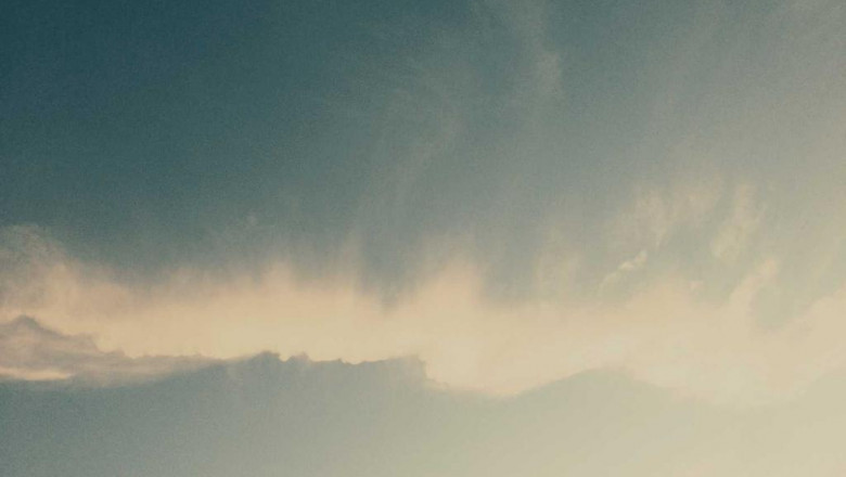 20 best tweets of all time about cbn vs cbd vs cbg