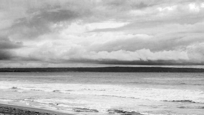 20 upandcomers to watch in the chronic relief wholesale industry