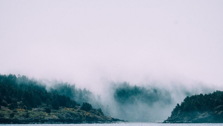 25 surprising facts about biscotti effects