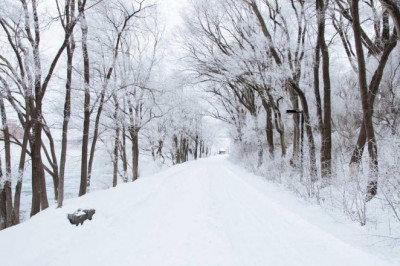 5 tools everyone in the top 10 immigration lawyers in brampton ts immigration consultant brampton industry should be using