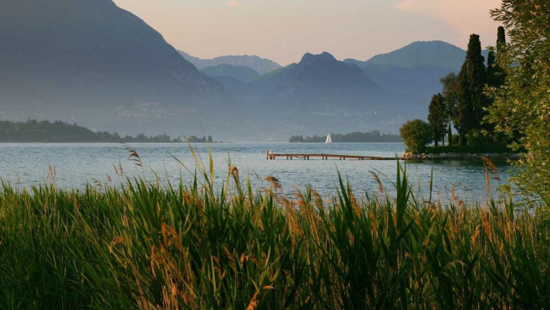 7 tendances que vous avez peutetre manquees sur act pesage