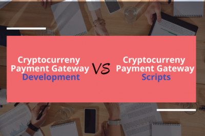 A crypto payment gateway development vs crypto payment gateway script