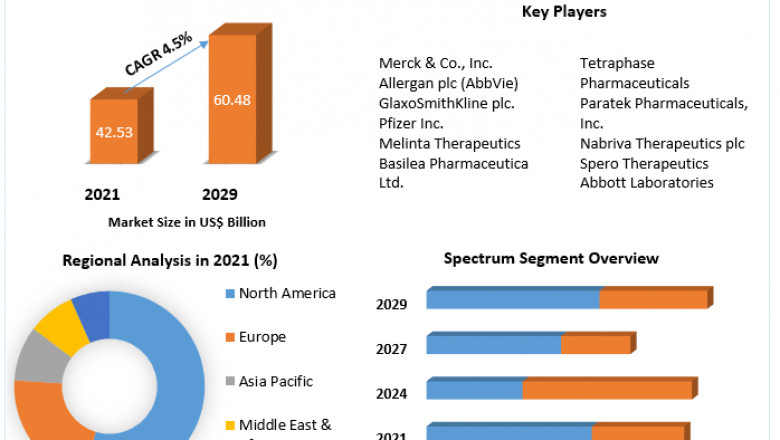 Antibiotics Market Size, Analysis, by Type, Technology, Region And Forecast 2029