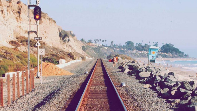 are you getting the most out of your how to grow hemp plant