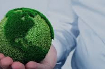 Best Immigration Consultants in Chandigarh- Nestabroad Immigration