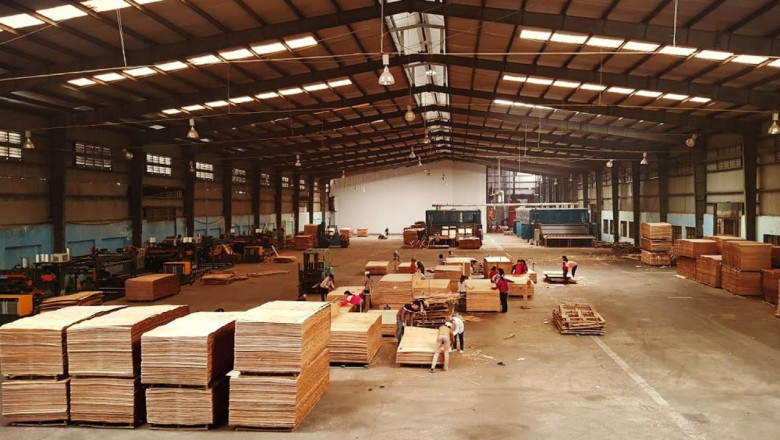 Best Plywood Manufacturers in Yamunanagar | Gurjone