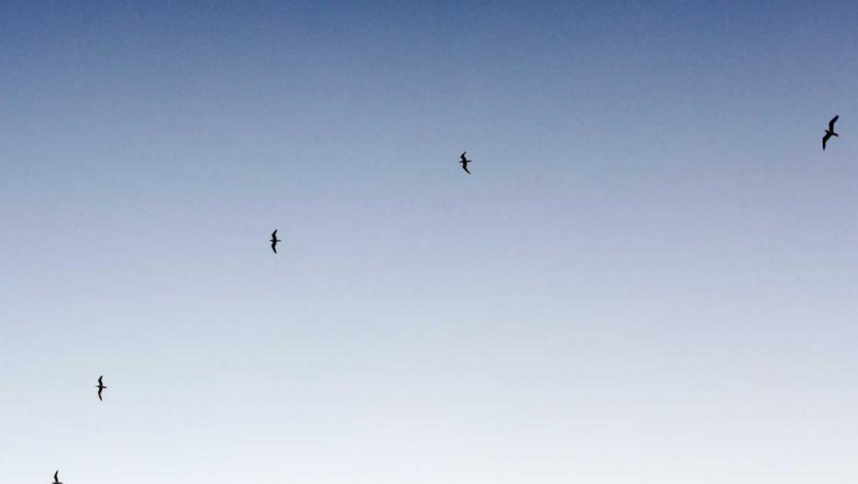 cereal milk og strain explained in fewer than 140 characters