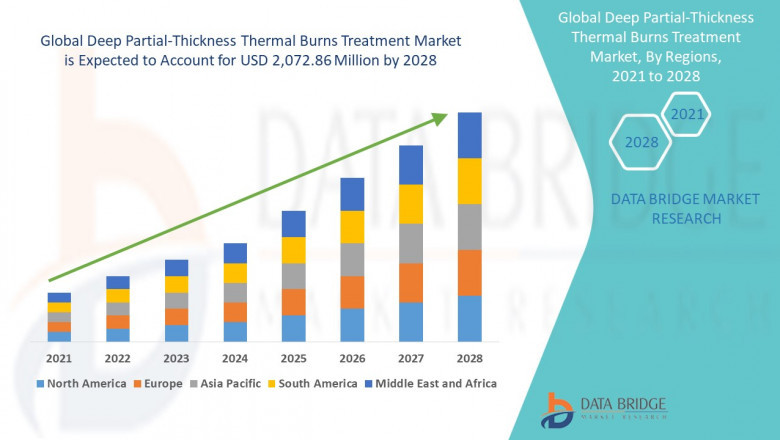 Deep Partial-Thickness Thermal Burns Treatment Market is segmented into direct tender, hospital pharmacy