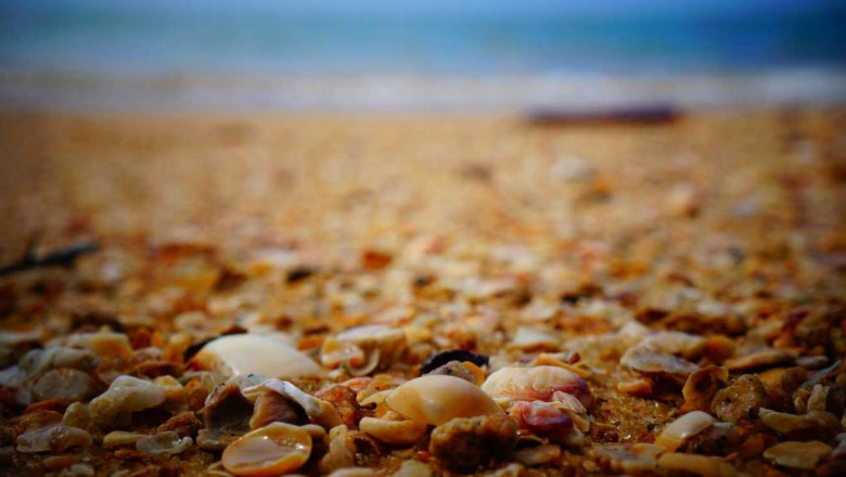 discover more about changing lawns with droughttolerant landscaping news