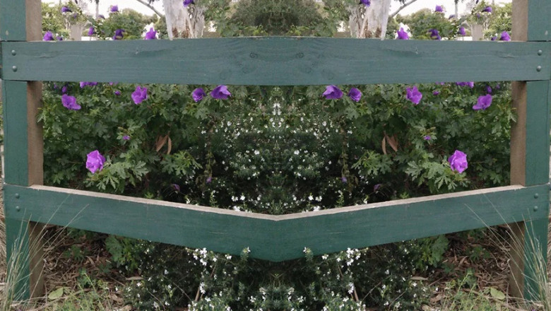 Enhance Your Property With Elegant but Basic Landscaping Solutions