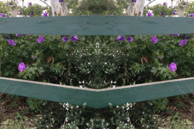 Enhance Your Property With Elegant but Basic Landscaping Solutions