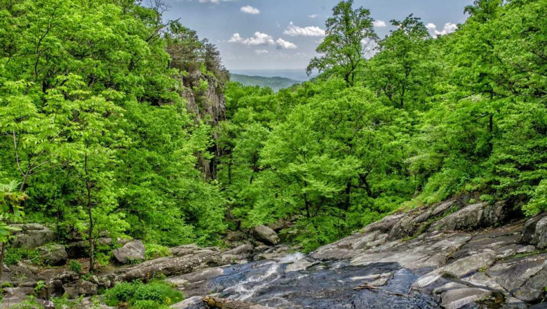 how to save money on movers reading pa