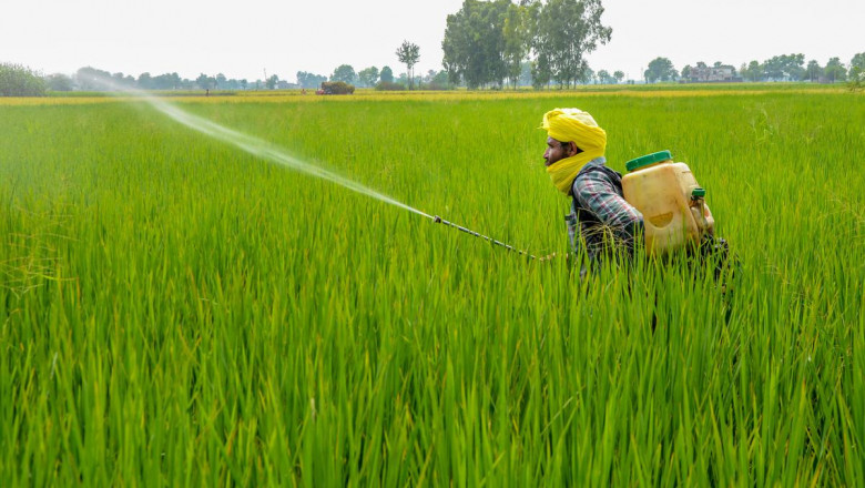 India Pesticide Market Share, Growth, Size and Forecast