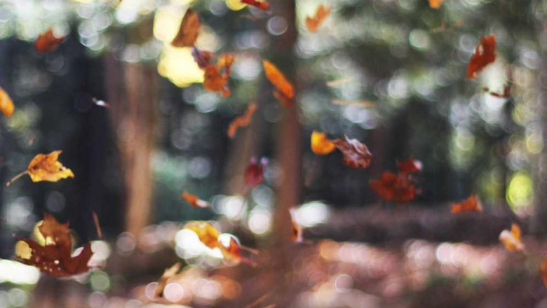 jak poskromic tluste zabrudzenia